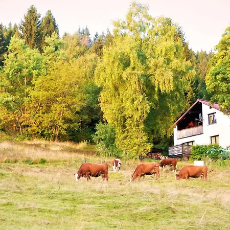 Apartamento Haus Am Brand In Nahe Rennsteig Oberhof Gehlberg