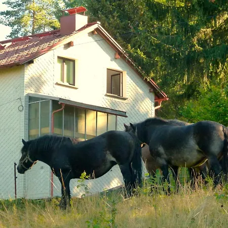 Apartamento Haus Am Brand In Nahe Rennsteig Oberhof