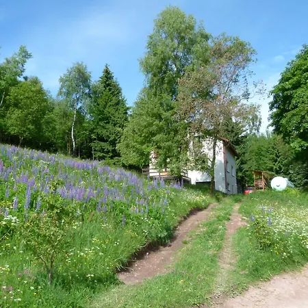Appartement Haus Am Brand In Nahe Rennsteig Oberhof