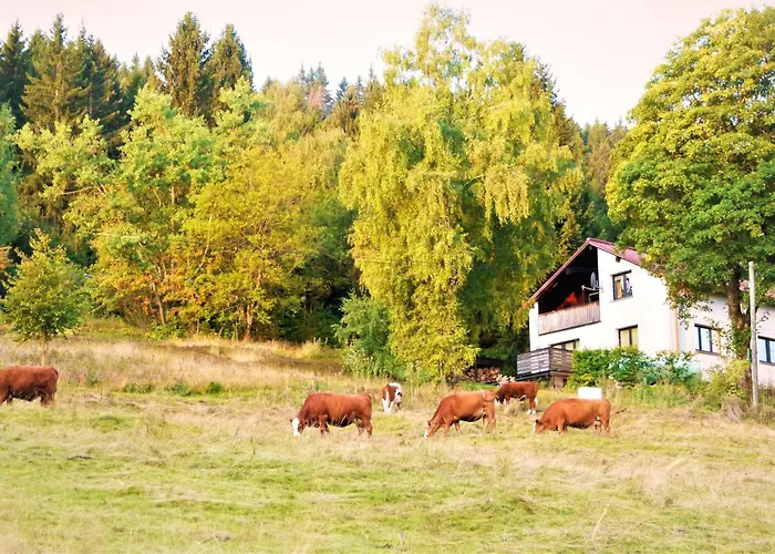 Appartement Haus Am Brand In Nahe Rennsteig Oberhof Gehlberg