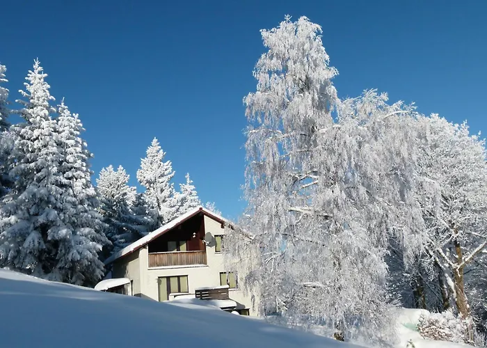 Appartement Haus Am Brand In Nahe Rennsteig Oberhof *