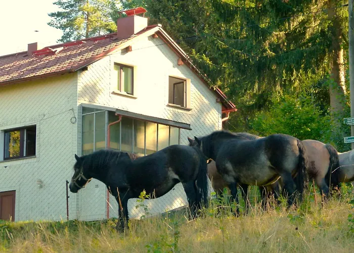 Appartement Haus Am Brand In Nahe Rennsteig Oberhof