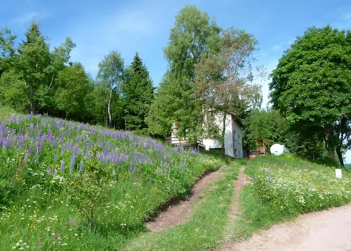 Apartamento Haus Am Brand In Nahe Rennsteig Oberhof