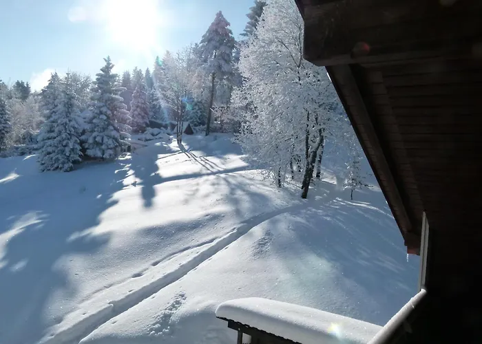 Haus Am Brand In Nahe Rennsteig Oberhof Appartement *